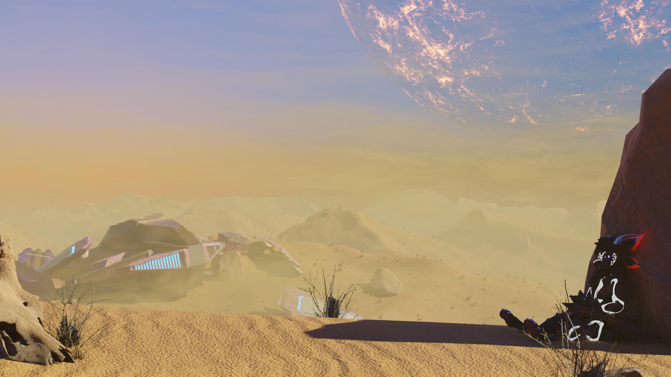 Furry in desert, stranded